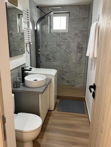 a bathroom with a toilet and a sink and a shower at Apartament Karim in Drobeta-Turnu Severin