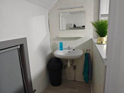 a small bathroom with a sink and a mirror at Chambre confortable pour 2p in Ostend