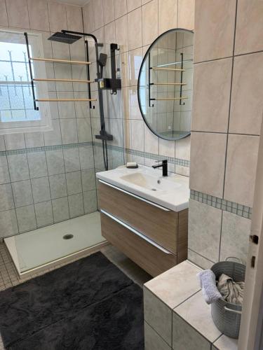 a bathroom with a sink and a shower and a mirror at Les Hirondells in Limanton
