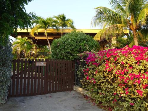 Jardí fora de Villa Witte Raaf