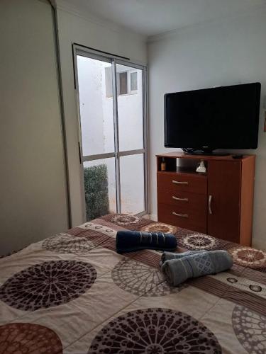 a bedroom with a large bed with a television on it at il Mandarino in Bahía Blanca
