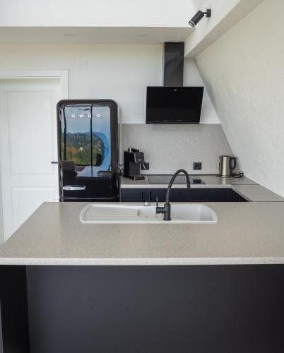 a kitchen with a sink and a counter top at Villa Gaia Novi Grad in Jablanica