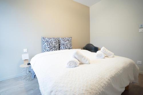 Air-conditioned 2 bedroom apartment with Terrace Parking Carcassonne