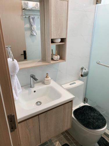 a bathroom with a sink and a toilet at Carl's Peace Haven in Gachie