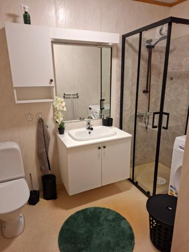 a bathroom with a sink and a shower and a toilet at Lyngen apartment in Lyngseidet