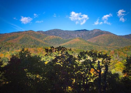 Mt Mitchell Cabin Rentals – Photos 4