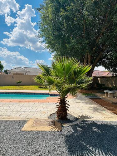 בריכת השחייה שנמצאת ב-Belea Home או באזור
