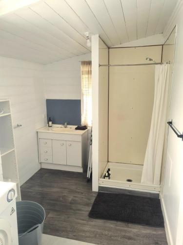 a bathroom with a shower and a sink at Horseshoe House - Gympie in Gympie