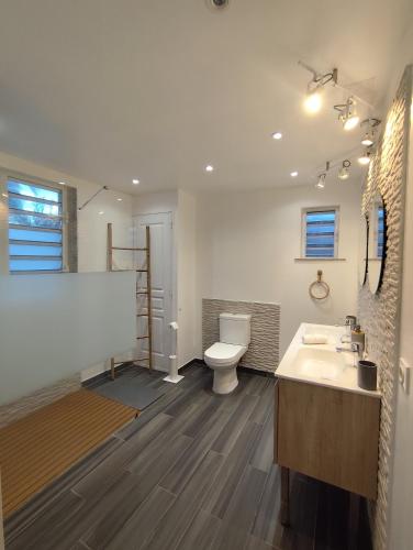 a bathroom with a toilet and a sink at Swisstropiclodges avec piscine privée in Sainte-Anne