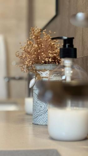a bottle of soap sitting next to a potted plant at Casa Rural Caraca in Driebes