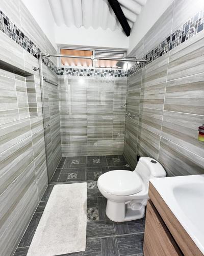 a bathroom with a toilet and a shower and a sink at Hotel cabañas sol paz DF in La Vega