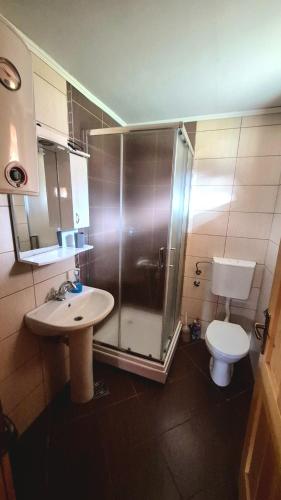 Koupelna v ubytování Apartment Mateja