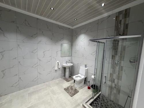 a bathroom with a shower and a toilet and a sink at Mehraz Guesthouse in Piet Retief