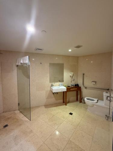 a bathroom with a shower and a sink and a toilet at Melrose Apartments in Melbourne