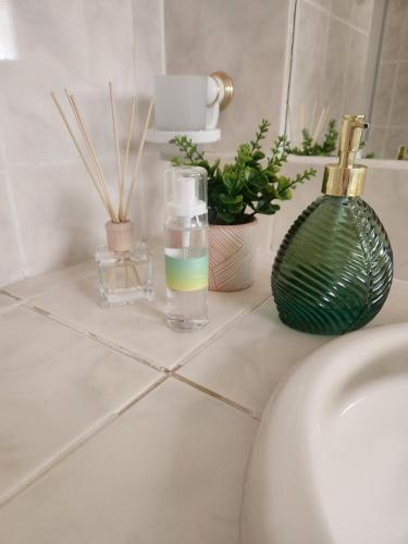 a bathroom counter with a bottle of water and plants at De Kleine Kaap Guesthouse in Lady Grey