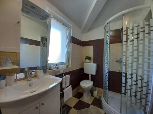 a bathroom with a sink and a toilet and a shower at Family-friendly apartments with swimming pool Nedescina, Central Istria - Sredisnja Istra - 7455 in Nedeščina