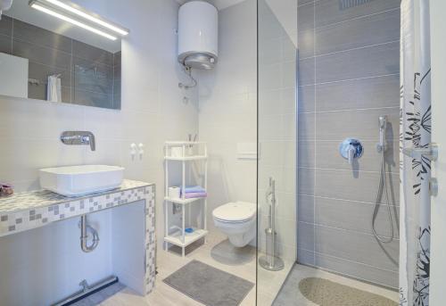 Apartments with WiFi Senj - 20890