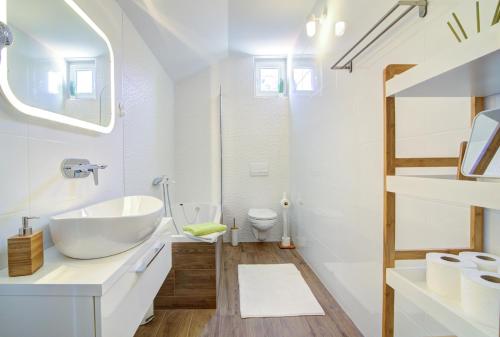 Apartments with WiFi Senj - 20890