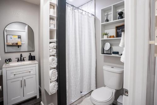 a bathroom with a toilet and a sink and a mirror at BOHO-MOD STUDIO APARTMENTs in Ferris