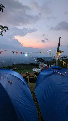 a row of blue tents with a sunset in the background at Go Camp in Kemuning