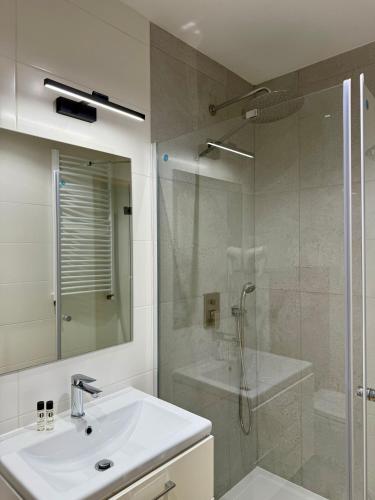 a bathroom with a sink and a glass shower at Podhalanin noclegi in Wadowice