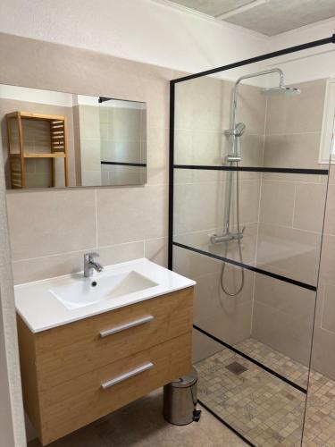 a bathroom with a sink and a shower at La Cayenne in Salazie