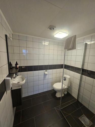 a bathroom with a toilet and a sink at Fisher Loft 30 in Kristiansund