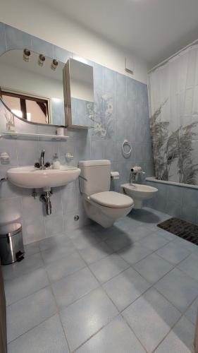 a bathroom with a toilet and a sink and a mirror at Ascona, Casa Collegio - im Zentrum, am See Lago Maggiore in Ascona