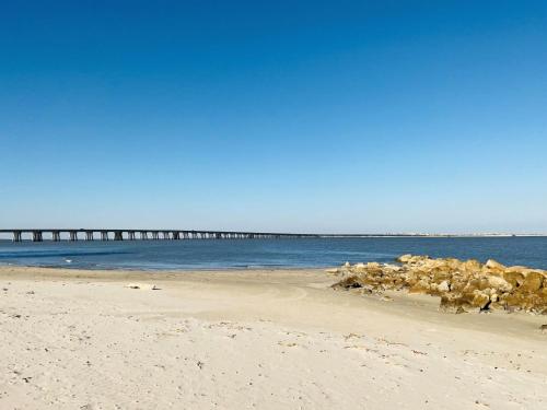a group of animals on a beach next to the ocean at Bailey Beach House Beach Views in Freeport