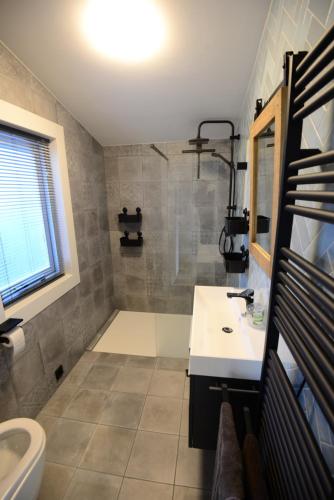 a bathroom with a shower and a sink at Tussen duin en dijk in Warmenhuizen