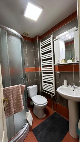 a bathroom with a toilet and a sink and a shower at Vila Eni in Smederevo