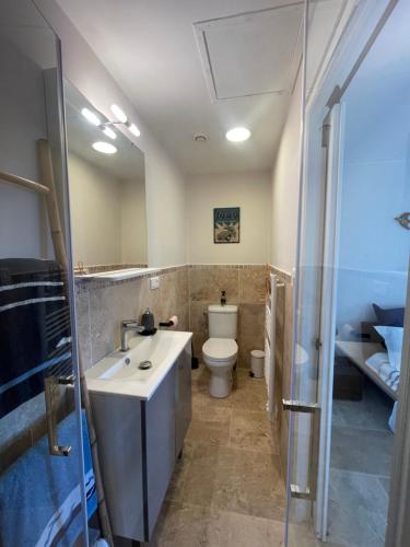 a bathroom with a sink and a toilet and a shower at ARLES CAMPAGNE LOCATION "La Campagn'Arles" in Arles