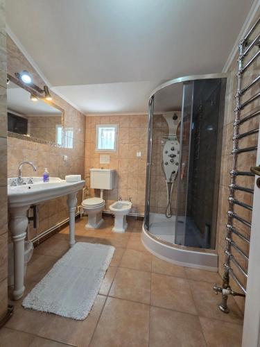 a bathroom with a shower and a sink and a toilet at Casa DelCris in Pojorâta