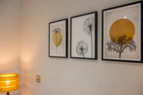 The Quadrant - The Botanical Suite photo 14