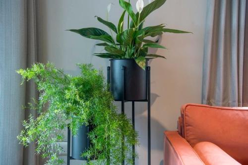 The Quadrant - The Botanical Suite photo 43