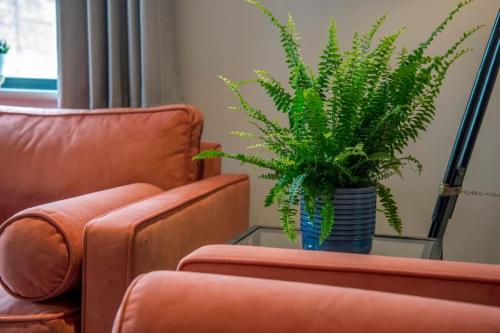 The Quadrant - The Botanical Suite photo 50