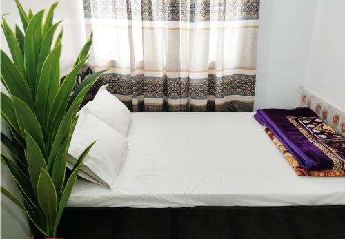 Hotel Taqwa Dhanmondi