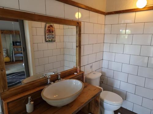 a bathroom with a sink and a toilet and a mirror at Geckos Rest Southbroom in Southbroom