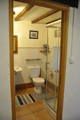 a bathroom with a toilet and a glass shower at Les Glycines Gîtes - Les Petites Pierres gîte - shared solar heated pool - garden spa - small dogs welcome in Vernoux-en-Gâtine