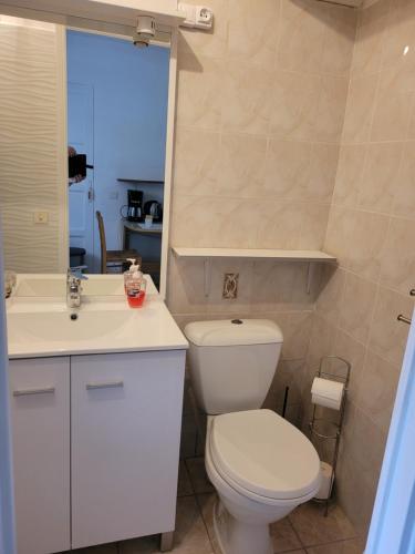 Les Chenes Biot في بيوت: حمام به مرحاض أبيض وحوض غسيل