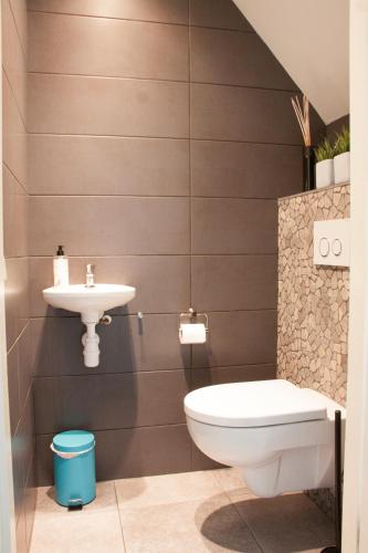 a bathroom with a toilet and a sink at De Reggestee in Hellendoorn