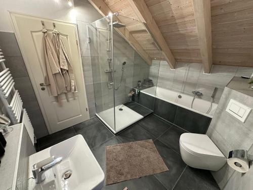 a bathroom with a shower and a toilet and a sink at Brückelsee-Chalet in Wackersdorf