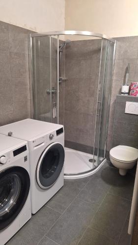 a washing machine in a bathroom with a shower at Chalupa U Kapličky Pastviny in Pastviny