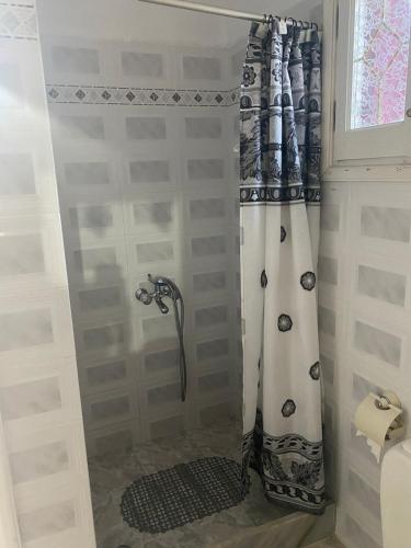 a shower in a bathroom with a shower curtain at Mimi's House 2 in Véssa