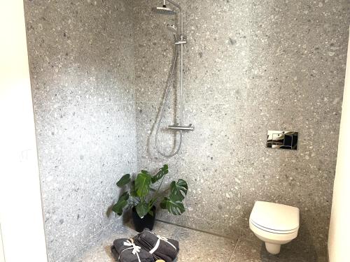 a bathroom with a shower with a toilet and a plant at Ferienhaus Ferienwohnung CasaBergZeit mit Königscard im Allgäu, Pfronten, Füssen in Pfronten
