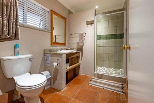 a bathroom with a toilet and a shower and a sink at Misty Mountain in Sabie