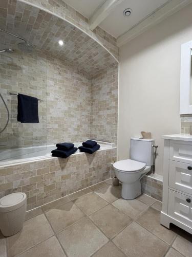 a bathroom with a toilet and a bath tub at LE petit CHABO in Saint-Maigrin