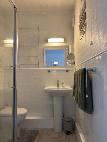a bathroom with a sink and a toilet and a mirror at Crispin House in Hunstanton