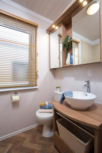a bathroom with a sink and a toilet and a window at Lyndale Lodge in Pulrossie