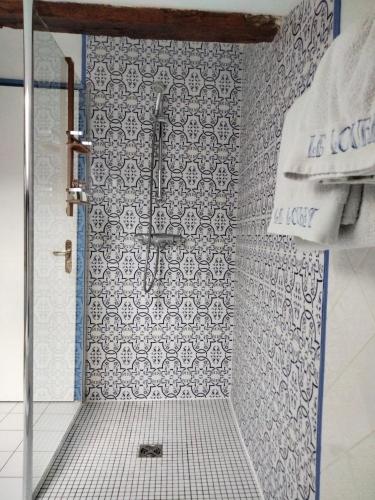 a bathroom with a shower with a tile wall at Chambres d'Hôtes Le Loubet in LʼIsle-Jourdain